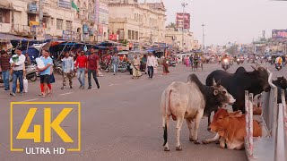 Everyday Life of Puri  4K Travel Film  Incredible India  Cities of the World [upl. by Boar62]