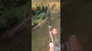 Bow Fishing with Recurve Bows  Traditional Archery [upl. by Nalo]