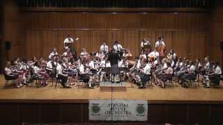 ABSOLUTELY BEAUTIFUL version of quotInisheerquot  Ayrshire Fiddle Orchestra Switzerland July 2013 [upl. by Euqinue365]