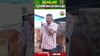 ఇదో ఎక్స్‌ట్రా గ్యారంటీ ఏంటది  Extra Guarantee   ABN Agri [upl. by Fadiman]