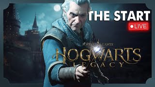 Choosing our path 🔴Live Hogwarts Legacy STORY Walkthrough [upl. by Madriene]