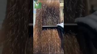 Repair Damage HairHair smoothing At HomeHair Smoothing Cream Home Remedy shorts yt haircare [upl. by Dalt]