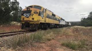 SSR Grain Train Chase Cootamundra to Ardlethan [upl. by Joby874]