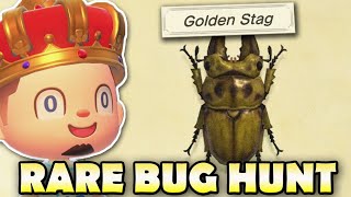 🐛 JULY CATCHING ALL NEW BUGS Animal Crossing New Horizons RARE BUG HUNT [upl. by Luben]