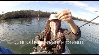 Bermagui Fishing  Bermagui River and Wallaga Lake [upl. by Ailat]