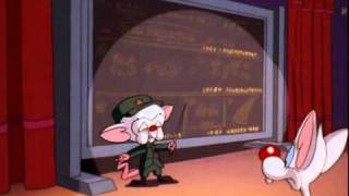 Pinky and the Brain  The Really Great Dictator [upl. by Delp]