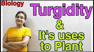 DG Pathshala Turgidity Uses of Turgidity to Plants Absorption by RootsTopic for Class10 Bio [upl. by Held909]