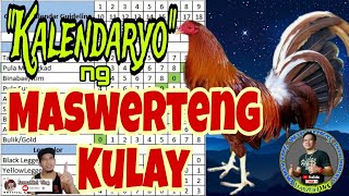 Paano malalaman ang mga Swerteng Kulay ng Manok sa bawat Petsa sa ating Kalendaryo [upl. by Anaicul]