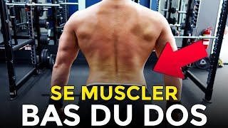 TOP 6 DES EXERCICES POUR MUSCLER LE BAS DU DOS EN MUSCULATION [upl. by Juanne245]