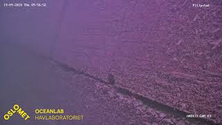 Live streaming OsloMet Oceanlab ANERIS low cost underwater camera observatory  Filipstad [upl. by Atnauqal]