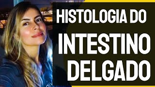 Histologia do intestino delgado  aula completa [upl. by Melena344]