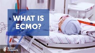 What is ECMO  Boston Childrens Hospital [upl. by Ysor537]