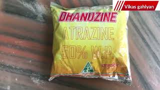 Dhanuka Dhanuzine herbicide  Dhanuzine herbicide  atrazine 50 wp  Dhanuzine selective herbicide [upl. by Benni]