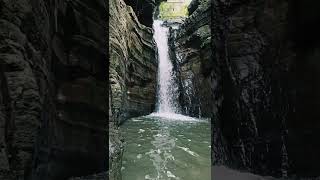 kasauli hills chail waterfall reels shortvideo himachaldiaries himachalpradesh pahadivlogs [upl. by Tankoos]