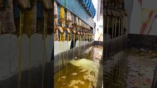 Sarson Ka Tel Making oil making viral [upl. by Aihsia780]