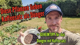 Diese Pflanzen lieben Kaffeesatz als Dünger ABER mit diesem Tipp könnt ihr alle Pflanzen mit Kaffee [upl. by Lamprey]