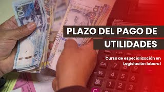 PLAZO DEL PAGO DE UTILIDADES [upl. by Odnanref]