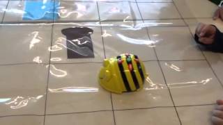 Beebot thema bakker [upl. by Ysdnyl]