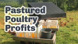 HOW TO RUN A PROFITABLE PASTURED POULTRY BUSINESS S5 ● E40 [upl. by Acnaiv]