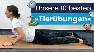 Unsere 10 besten quotTierübungenquot  Den ganzen Körper mobilisieren dehnen amp Muskulatur stärken [upl. by Tdnerb]