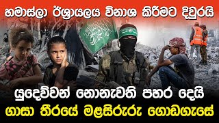 හමාස්ලා ඊශ්‍රායලය විනාශ කිරීමට දිවුරයි  Israel Palestine War Update [upl. by Spurgeon]