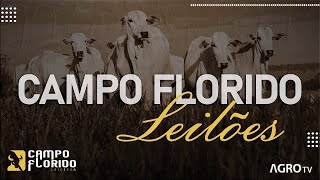 CAMPO FLORIDO LEILÕES AO VIVO  CAMPO FLORIDO MG [upl. by Jopa]