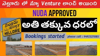 nellore plots for sale  open plots in nellore  nellore real estate nellore andhra pradesh  sales [upl. by Rolat788]