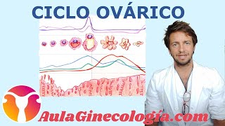 CICLO OVÁRICO Explicación del ciclo menstrual y hormonal  Ginecología y Obstetricia [upl. by Nuli]