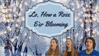 Lo How a Rose Eer Blooming EnglishGerman [upl. by Dleifniw]