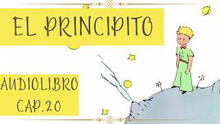 EL PRINCIPITO Cap 20 AUDIOLIBRO [upl. by Koller454]