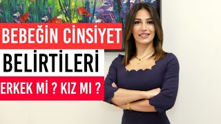 Bebeğin Cinsiyet Belirtilerinde Anne Baba Faktörü [upl. by Angell291]