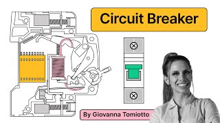 Miniature Circuit Breaker MCB How does it work [upl. by Larrisa]