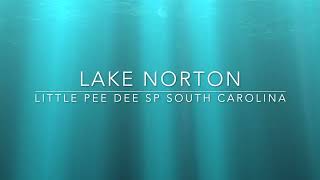 Beautiful Lake Norton located in Little Pee Dee SP South Carolina [upl. by Alaham]