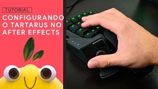 CONFIGURANDO E UTILIZANDO O RAZER TARTARUS COM AFTER EFFECTS  TUTORIAL [upl. by Gamin]