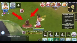 How to find Mandragora Seed  Ragnarok M [upl. by Aikaj106]