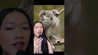 សត្វខ្ជិលបំផុតក្នុងលោក  the most laziest animal in the world [upl. by Etac975]