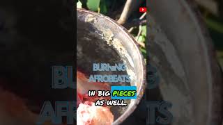 WODE MAYA Himba Tribe Eating Meat On Branch Plates meet the tribe that offers free s8x to guests [upl. by Viv733]