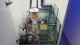 Reefer 170  Clean Sump Setup [upl. by Brent]