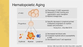 Drivers of Hematopoietic Stem Cell Aging with Jennifer Trowbridge  Sanford Stem Cell Symposium [upl. by Nadya]