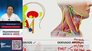 Cabeza y Cuello Fundamentos Teóricos ENAMENARMSERUMS [upl. by Sremmus]