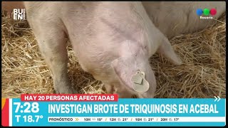 Investigan brote de triquinosis I Telefe Rosario [upl. by Sivie103]