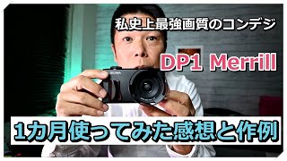 フォビオンの名機 DP1 Merrill 使った感想と作例 「4K大画面でご覧ください」 [upl. by Aillicec]