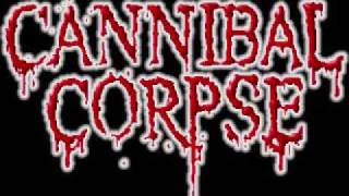 Cannibal Corpse  Demons Night [upl. by Nanreik]