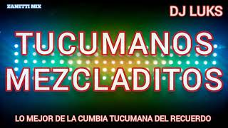 Tucumanos Mezcladitos dj Luks Cumbias Tucumanas  Zanetti Mix [upl. by Sirtaeb]