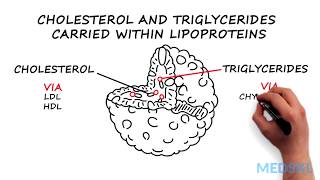 Dyslipidemia What to know about Cholesterol and Triglycerides levels [upl. by Funk]