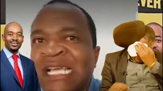 Tshabangu’s Ally Exposes How They Plotted To Destroy Chamisa And CCC [upl. by Ljoka504]