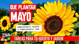 QUE SEMBRAR EN MAYO NORTE Y SUR  CALENDARIO DE TAREAS HUERTO Y JARDIN 2020 [upl. by Eednac]