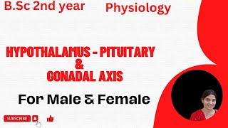 HypothalamusPituitary And Gonadal Axis BSc 2nd YearCore VI Controlling and coordinating System [upl. by Gaeta]