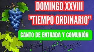 Canto de Entrada y ComuniónDomingo XXVIII Del Tiempo Ordinario [upl. by Oflunra994]