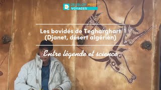 Les bovidés de Tegharghart Djanet désert algérien La vache qui pleure  entre légende et science [upl. by Atsejam]